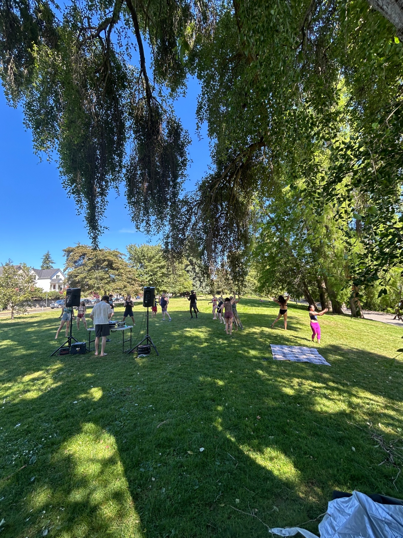 Dancers under the willow tree at Green Lake