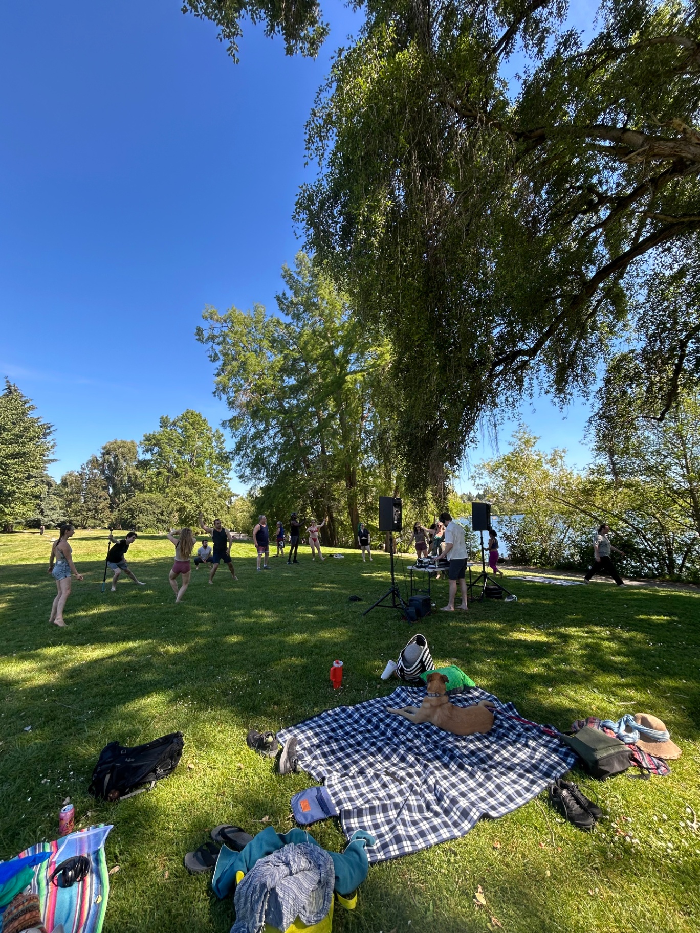 Dancers by Green Lake under a willow tree